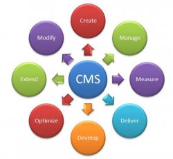 cms_back